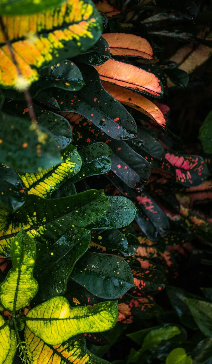 Der Blog von HPH-Psychologie