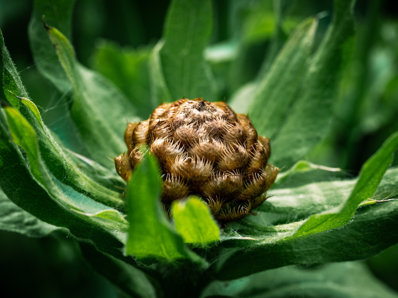 warum du trotz psychischer Probleme schweigst und weiter funktionierst